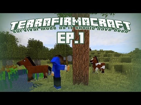 MINECRAFT TerraFirmaCraft - Episode 1 - Hinein ins Steinzeitabenteuer!