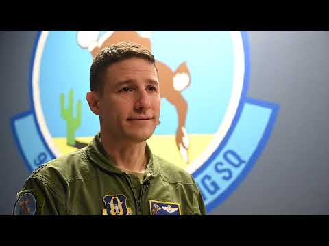 The 96th boxing bunnies