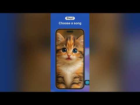 Pet AI・Cat,Dog Video Generator video thumbnail