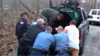 VIDEO  Bear Found in Hopatcong Man's Basement   Hopatcong, NJ Patch#video 8709816#video 8709816