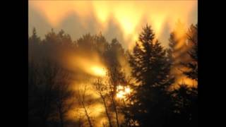 Inside Out   DAVID MEECE