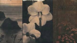 Cocteau Twins - Rilkean Heart ( slowed + reverb )