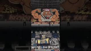 Download lagu #ultrasgaruda #thejakmania #themaczman #bcs #bonek  #bobotoh  #suporterindonesia #aremania mp3