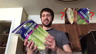 Regrow Romaine Lettuce from Grocery Store - Life Hack or Urban Legend