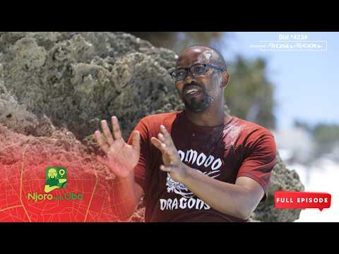 Episode 1: Sio lazima – Njoro wa Uba | S6 | Ep 1| Full Episode | Maisha Magic East