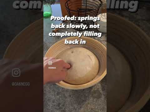 Proofing Sourdough: The Poke Test