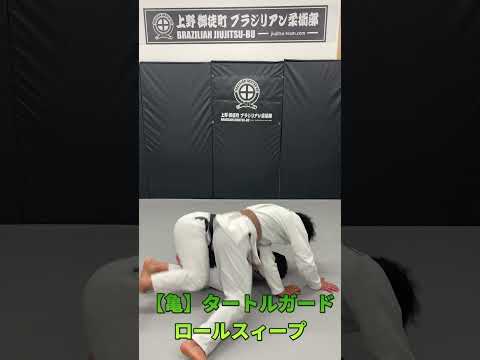 【反則級】タートルガードから“一瞬で倒す”崩し