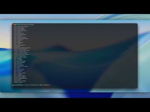 Stashbase video preview