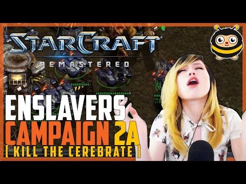 Livibee | Enslaver Campaign [SC:R] | Mission Two A (Killing the Cerebrate)