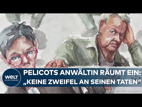FALL GISÈLE PELICOT: "Scham muss die Seite wechseln!" Tausende protestieren gegen Gewalt an Frauen