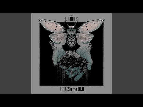 Before The Sun Comes Up - The Looms