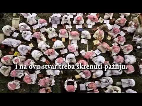 Skromnost šejha Muhammeda Muhtara Eš-Šenkitija