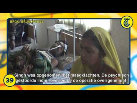 Nieuwsflits 29 November 2011 - Varken redt vegetarier