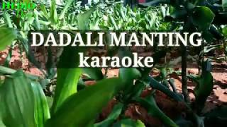 Download lagu Dadali manting karaoke mp3