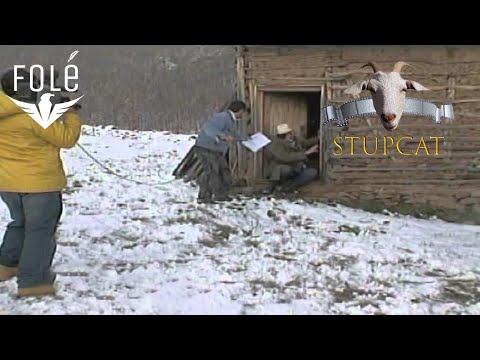 Gezuar Pavaresia 2006   2 Humor 6