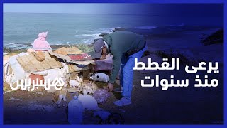 يربي القطط ويسهر على رعايتها .. محمد يحكي قصة سنوات من الإخلاص والصداقة مع القطط thumbnail