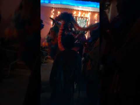 Capra secuieni Alexandra