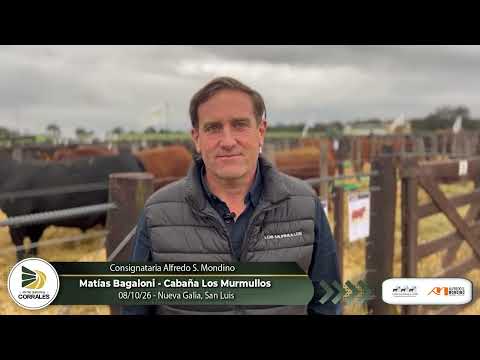 08-10-26 - Matías Bagaloni - Cabaña Los Murmullos - Nueva Galia, San Luis