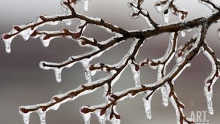 Ascent upon the Doldrums of Life from Constant Restraint in the Teeth of Emulation