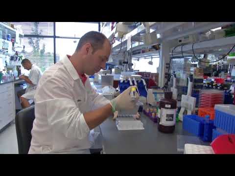 Al Jazeera Svijet 10.09. - Nedjelja 21:30