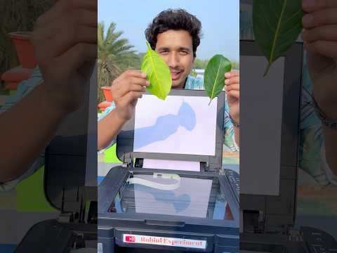 Don’t Print This!🖨️