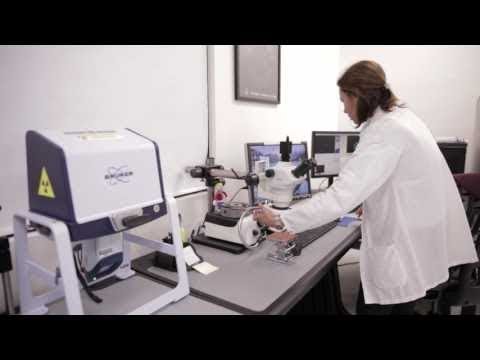 Bruker Spectrometry