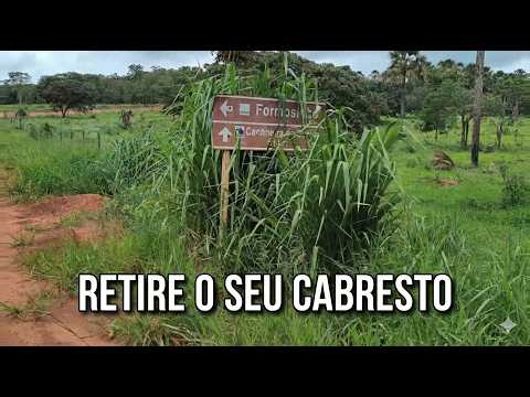 Viagem Para Paraúna Dia 1 - Riacho formosinho - Retire o seu cabresto.