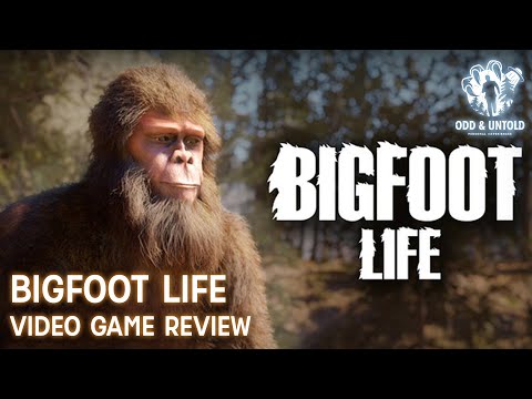 Просмотреть видео