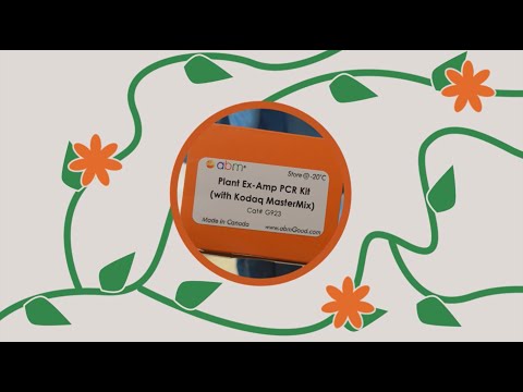 How to extract genomic DNA from Plants - Plant Ex-Amp PCR Kit