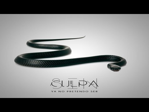 SIN CULPA - DIA LIBRE