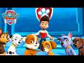 Apa Yang Terjadi Di Markas Besar Paw PAW Patrol Episode Indonesia Kompilasi