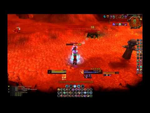 Gladiator Miirkat - Feral vs Death Knight