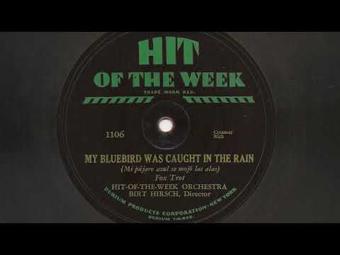 My Bluebird Was Caught In The Rain - Hit-Of-The-Week Orchestra - 1930
