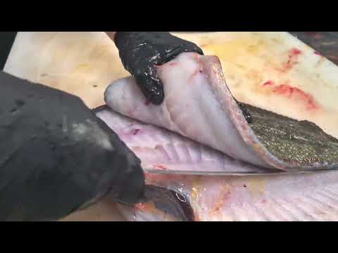 How to fillet turbot (the easiest way)