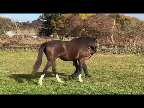 {{itemName}}_video_thumbnail