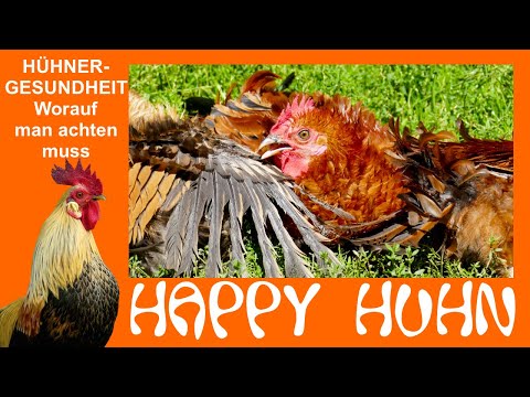, title : 'E9 Gesundheitscheck beim Huhn: Federlinge, Kalkbeine, Geschwüre, Kreuzschnabel, Mauser - HAPPY HUHN'