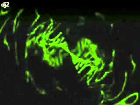 DJ CRAZY PAIN ELECTRO HOUSE 2011.wmv