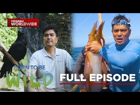Hunting Giant Squids and Meeting a Friendly Crow (Full Episode) | Born to be Wild