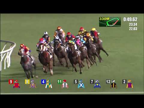 14/7/2021 (835) Sparkling Dragon - Derek Leung (Last race of the Season!)