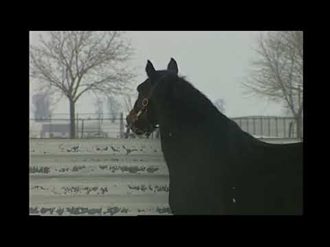 CHRHF 2003 Inductee - Camluck