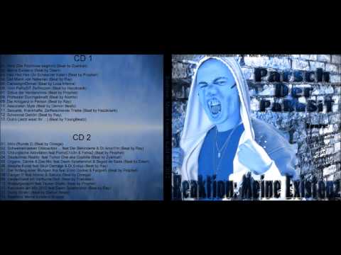 8. Parsch der Parasit - Professor durchgeknallt (Atomic Beat) (Reaktion meine Existenz - CD1 - 2012)
