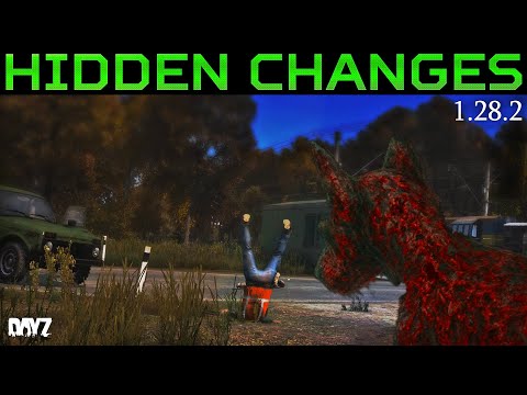 DayZ 1.28.2 Changes, ReShade Ban & New Badlands Leaks