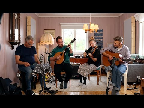 Den ljusa hallingen - Swedish Folk Music