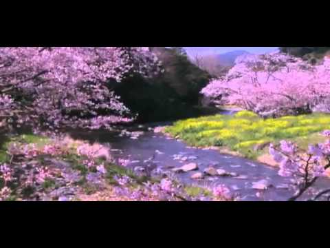 FR Denis NGONDE   Nkolo kumisama