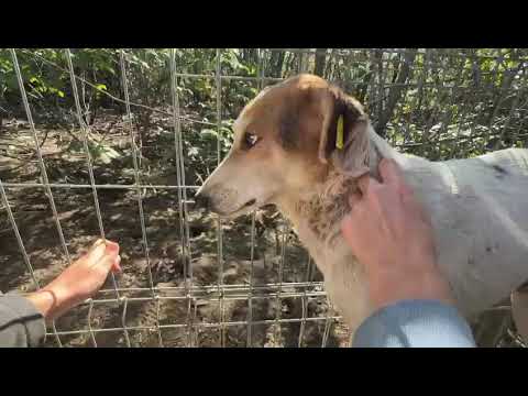 NABIHA - Oktober 2024