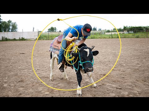 ESTO ES INCREÍBLE !!