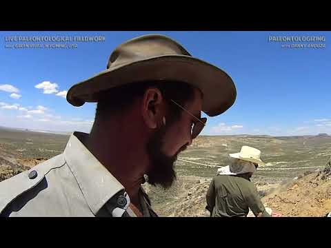 DINOSAUR DIG, Day 21 ⛏️🦴🦖 Gotta dig a big hole to collect a big dinosaur 🦕 Back at Purple Puzzle