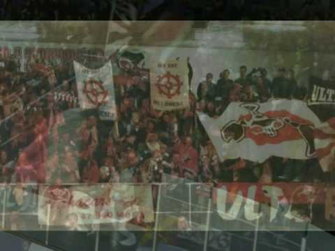 La vie des Scorpions de Mulhouse