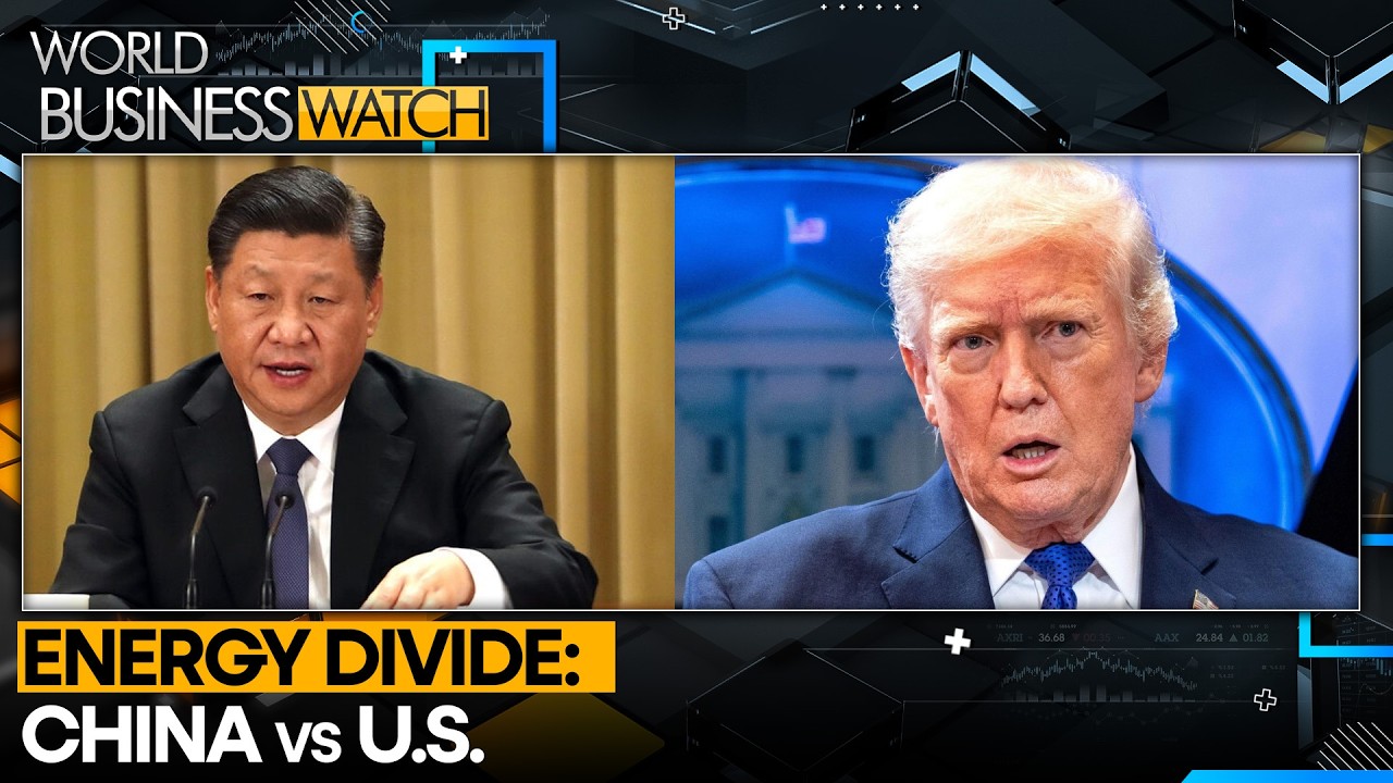 China Launches New Energy Framework In 2026 | WION World Business Watch