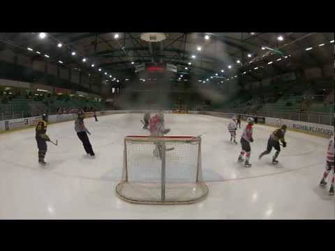 DNL: EVR - Krefeld [Behind the net cam] - Martin Rabanser